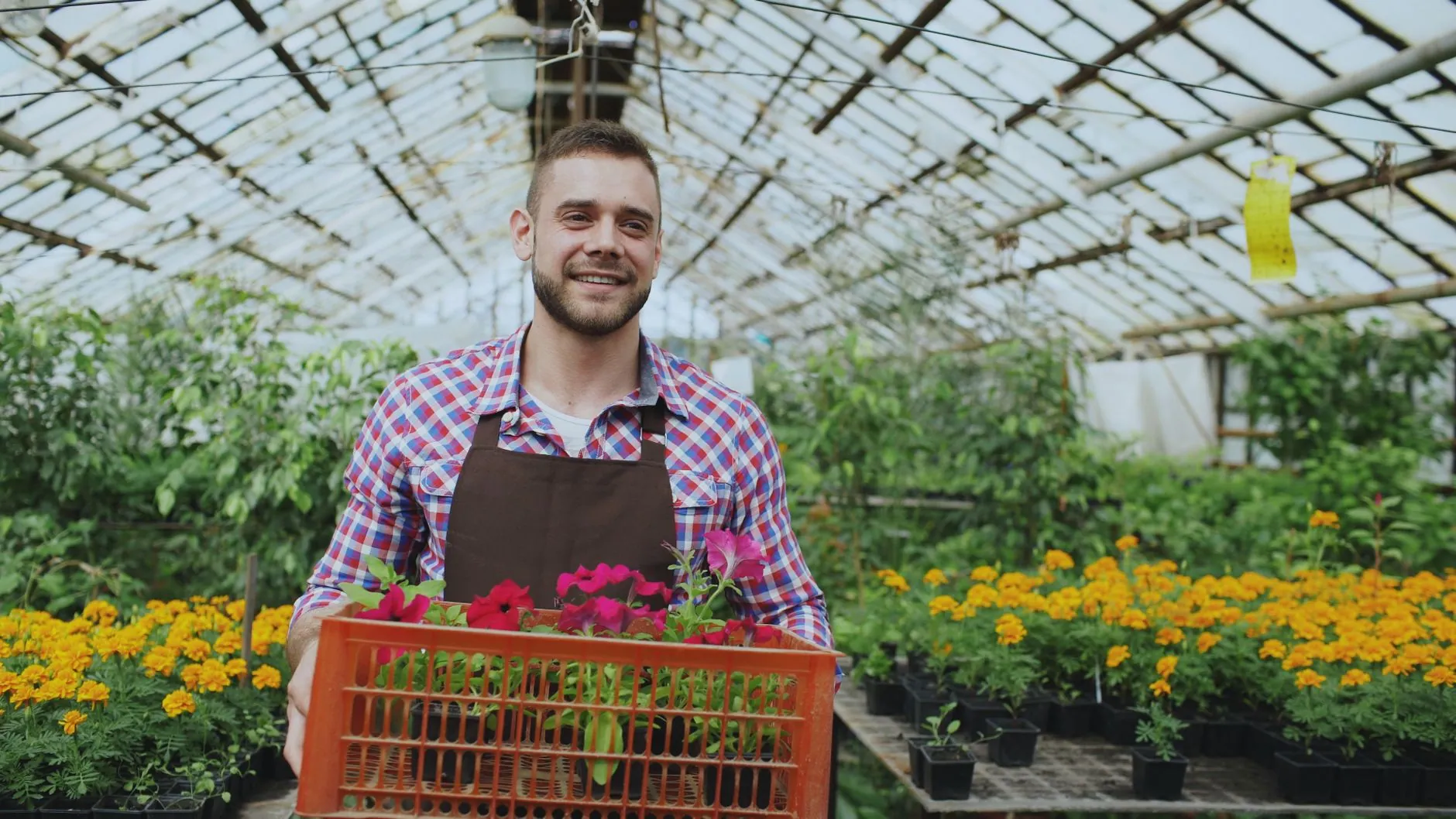 Commercial gardening
