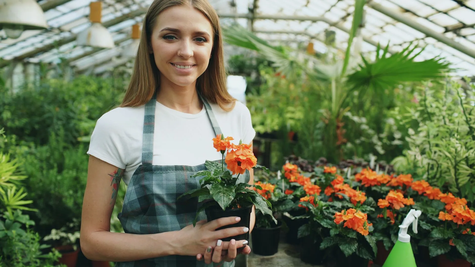 Commercial gardening